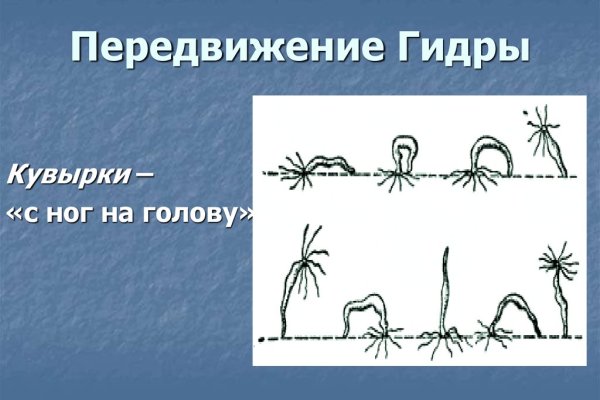 Как зарегистрироваться в kraken