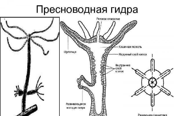 Маркетплейс кракен kraken