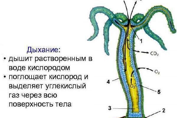 Кракен маркетплейс товары