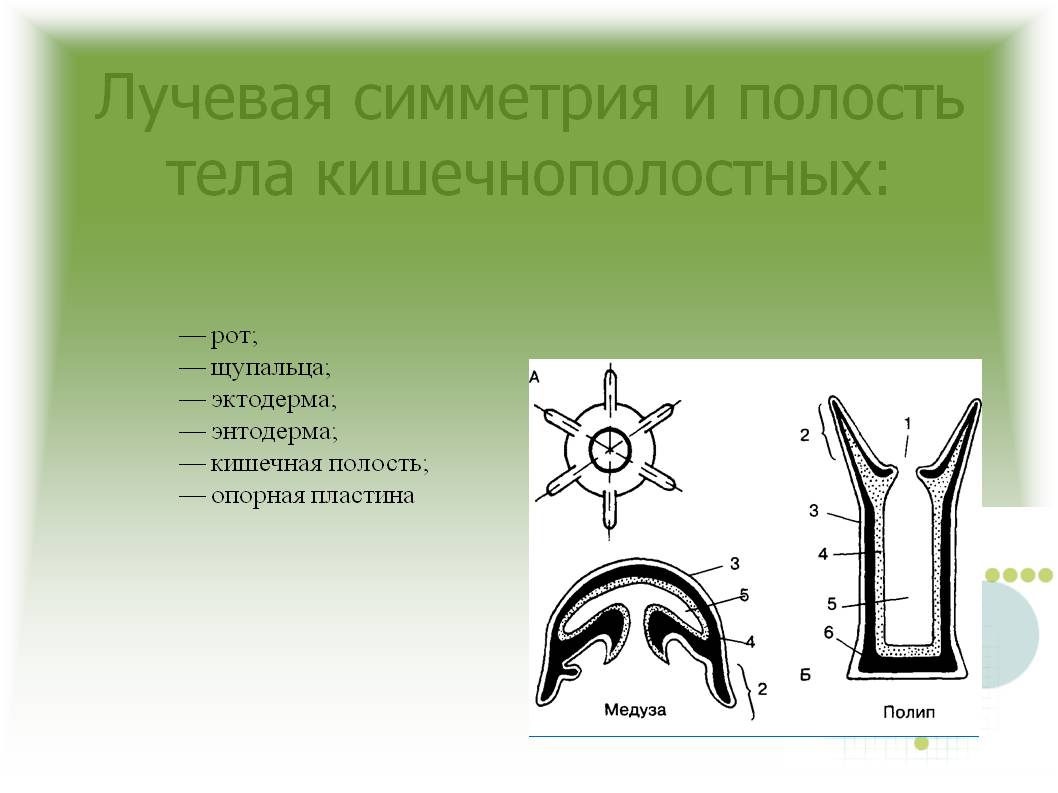 Кракен наркоз магазин